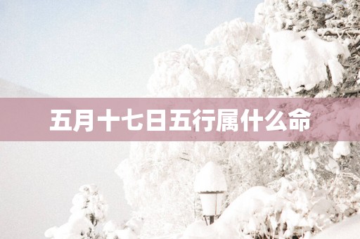 五月十七日五行属什么命
