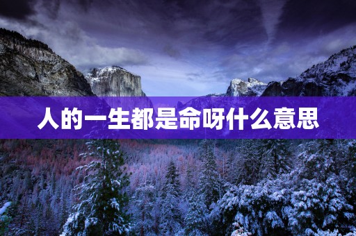 人的一生都是命呀什么意思