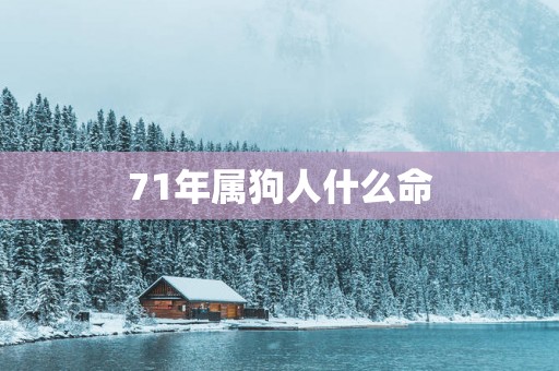 71年属狗人什么命