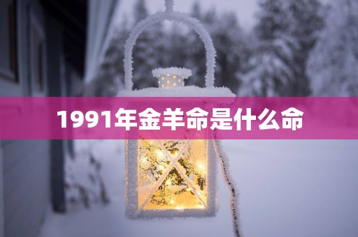 1991年金羊命是什么命