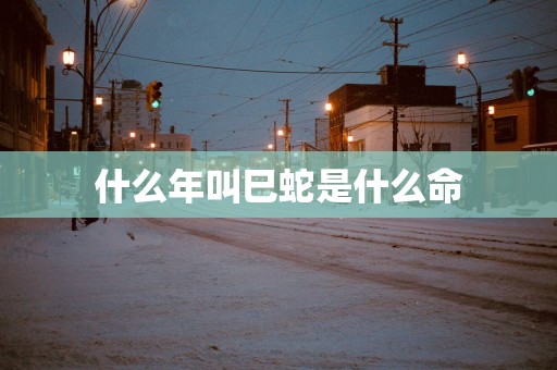 什么年叫巳蛇是什么命
