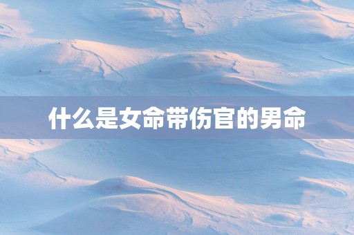 什么是女命带伤官的男命