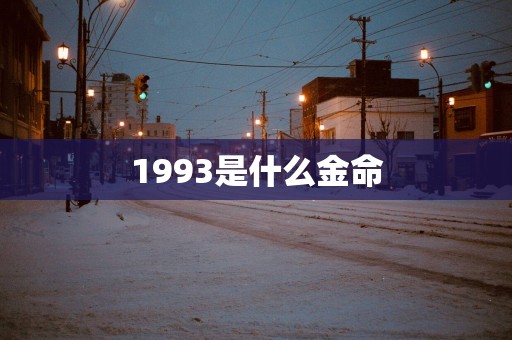 1993是什么金命