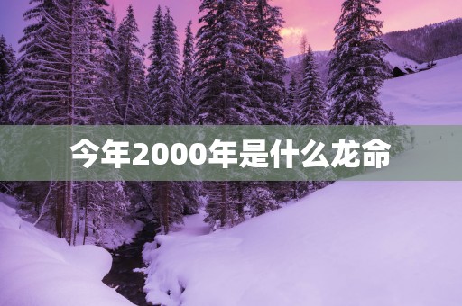 今年2000年是什么龙命