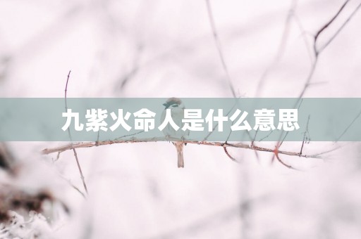 九紫火命人是什么意思
