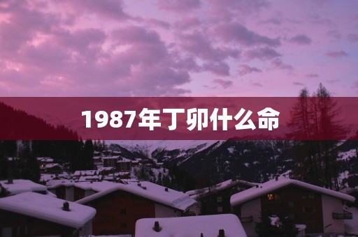 1987年丁卯什么命