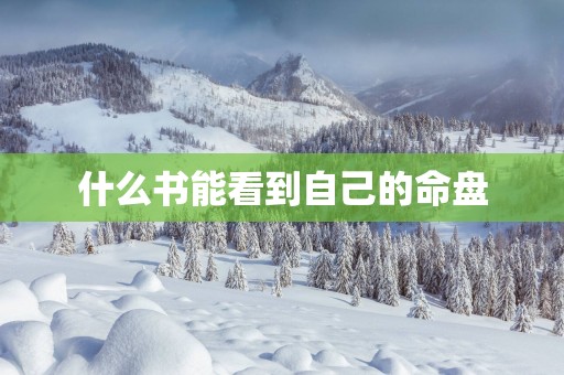 什么书能看到自己的命盘