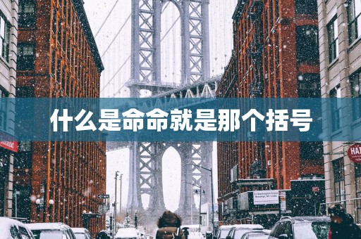 什么是命命就是那个括号