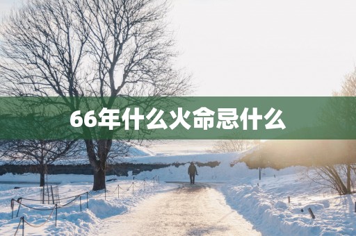 66年什么火命忌什么