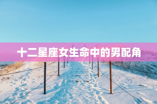 十二星座女生命中的男配角