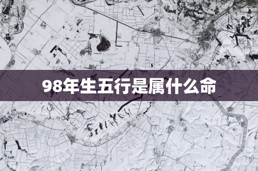 98年生五行是属什么命