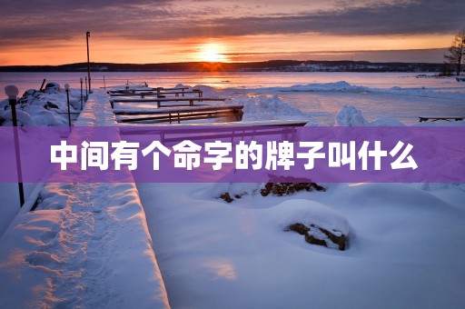 中间有个命字的牌子叫什么