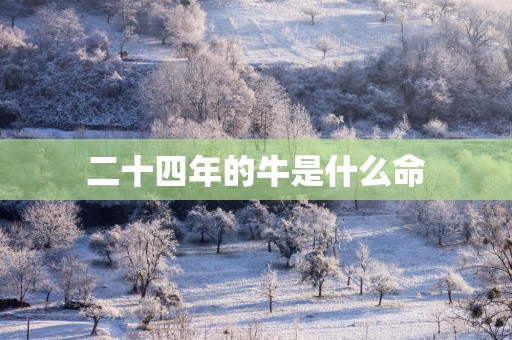 二十四年的牛是什么命