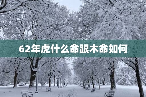 62年虎什么命跟木命如何