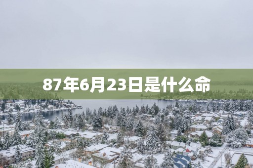 87年6月23日是什么命