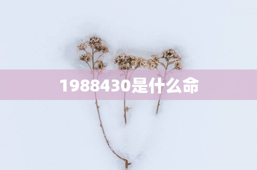 1988430是什么命