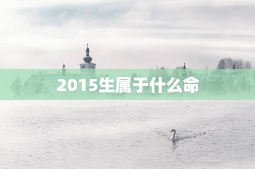 2015生属于什么命