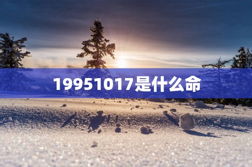 19951017是什么命