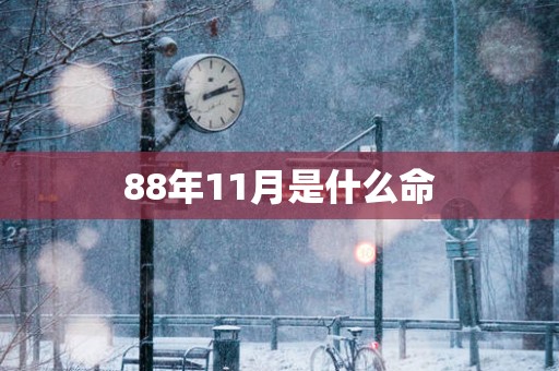 88年11月是什么命