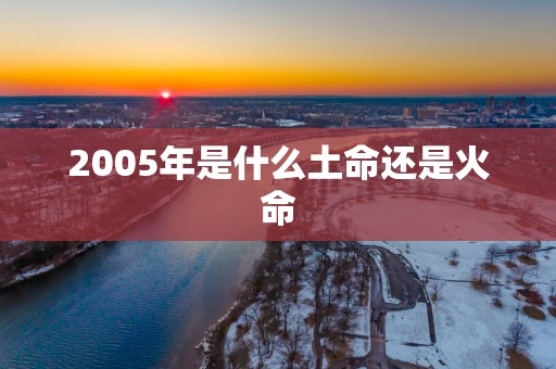 2005年是什么土命还是火命