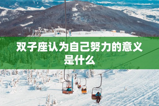 双子座认为自己努力的意义是什么