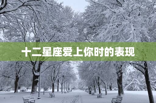 十二星座爱上你时的表现