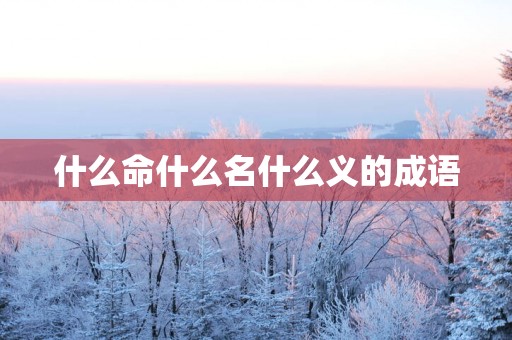 什么命什么名什么义的成语