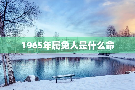 1965年属兔人是什么命