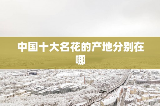 中国十大名花的产地分别在哪