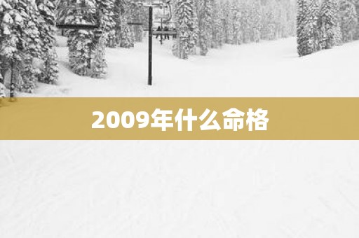 2009年什么命格