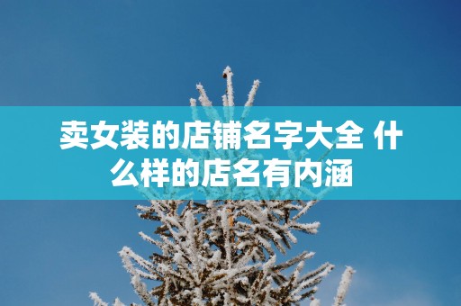 卖女装的店铺名字大全 什么样的店名有内涵
