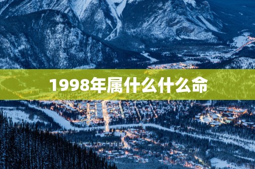 1998年属什么什么命