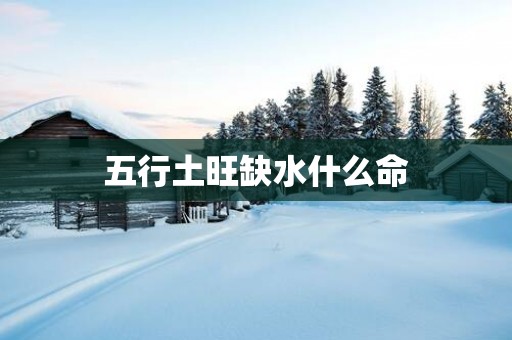 五行土旺缺水什么命
