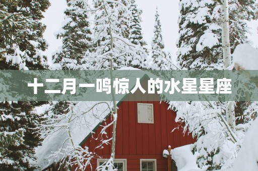 十二月一鸣惊人的水星星座