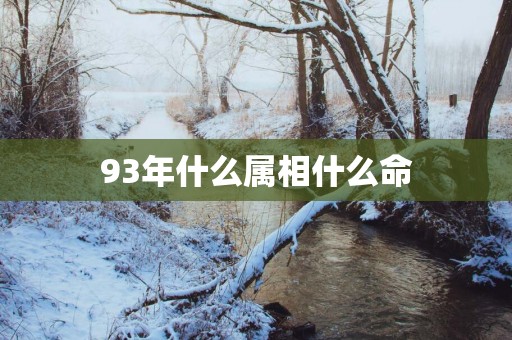 93年什么属相什么命