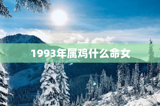 1993年属鸡什么命女