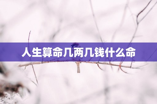 人生算命几两几钱什么命