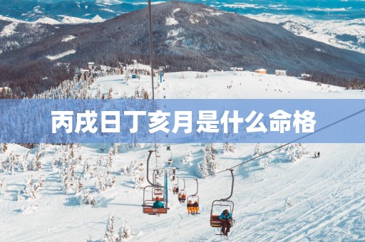 丙戌日丁亥月是什么命格