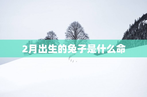 2月出生的兔子是什么命