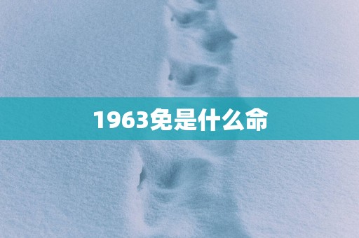 1963免是什么命