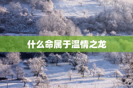 什么命属于温情之龙
