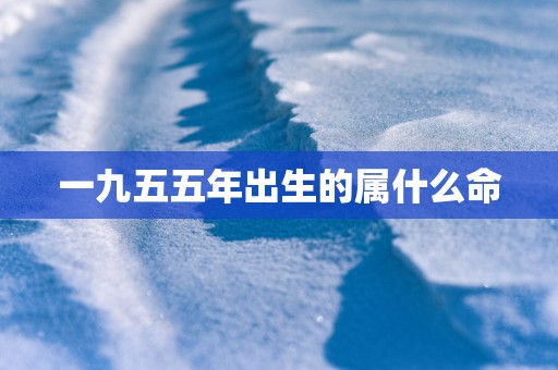 一九五五年出生的属什么命