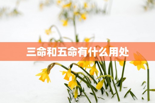 三命和五命有什么用处