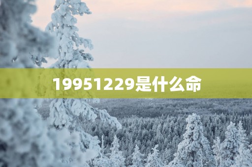 19951229是什么命