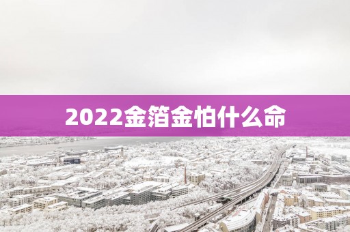 2025金箔金怕什么命