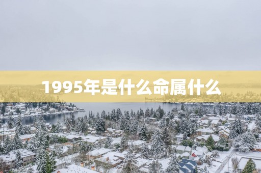 1995年是什么命属什么