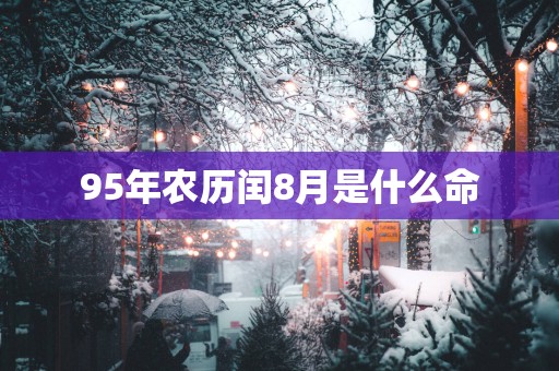 95年农历闰8月是什么命