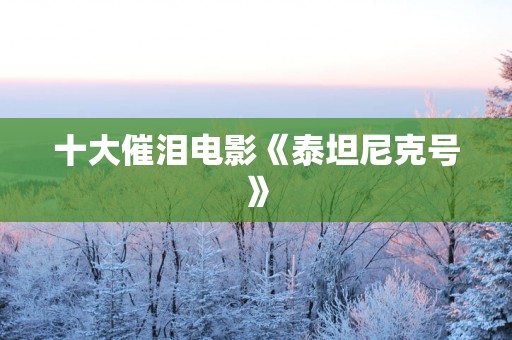 十大催泪电影《泰坦尼克号》