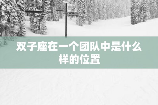 双子座在一个团队中是什么样的位置