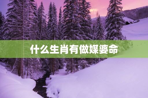 什么生肖有做媒婆命